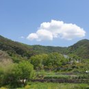 도심건강길 6길 이미지