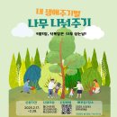 제주초록나무 이미지