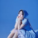 김태연 뉴스1