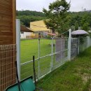 가자 펫택시 이미지