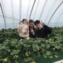 정명진농장 이미지