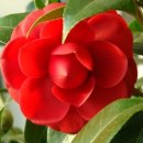 동백모텔 이미지