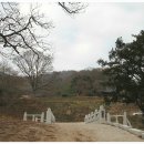 개천사 부도군 이미지