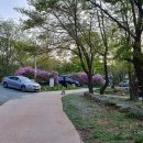 황매산만남의광장화장실 이미지