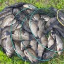 탑전낚시터 이미지