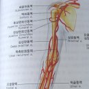 당신의 혈관이 깨끗해야 하는 이유 이미지