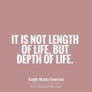 대박터진돈까스 이미지