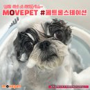 페트롤스테이션