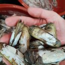 별량시장 이미지