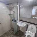 에코라엘 이미지