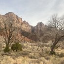 트레져 아일랜드 | 미국여행 라스베가스 1박2일 숙소 트레져아일랜드호텔 후기, 위치, 치안, 어매니티, 룸 컨디션