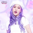 보라미미