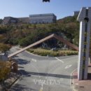 (주)글로벌서울메디컬그룹 이미지