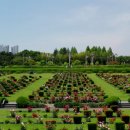 이민역사교실 행정사 이미지