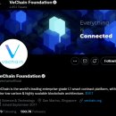 ﻿비체인 VeChain (VET)대 카르다노 Cardona (ADA)– 차이점은 무엇입니까? 이미지