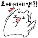 월악오토캠핑장 이미지