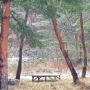 홍스캐빈 이미지