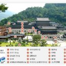 동양석공예 | [강원종합박물관] 삼척여행 중 세계 각국의 유물이 전시된 박물관을 찾아보다.