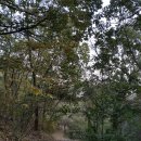 학생야영장 옆 이미지