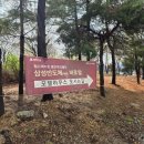 양지개발