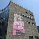 테라스가 넓은 집 | 일산 풍동 카페 빠르끄 브런치 2인 세트 후기
