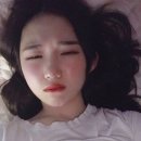 멍멍이PC 이미지