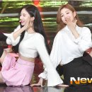 유주파인