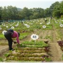 김영천 농장 이미지