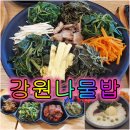 완두콩 소공원 | 강원나물밥 설악산 속초 여행 국내산 콩과 자연산 나물