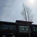 매곡천 자전거길L | 남이섬 식당 고민 끝 l 동문에서 짜장면 먹고 온 솔직 후기