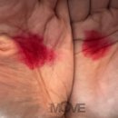 문화로 보는 세계사 - 세계사를 움직이는 문화의 힘 이미지