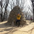 우면산3-28 이미지