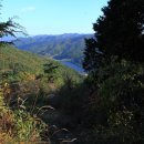 태청산 편백나무숲 트레킹길 이미지