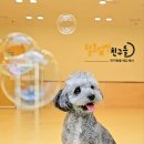 털로덮인친구들 동탄북광장점 이미지