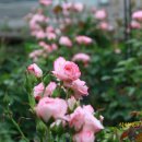 문수실내사격장 이미지