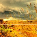 [637번째] 마지막 가을 낙엽과 드라이브.. 제 고향 금산 이곳 저곳.. 그리고 따뜻한 어죽 한그릇~~ 11월 9일(일) 이미지