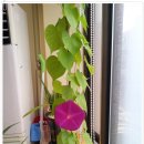 노루목작은도서관 이미지