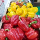 북삼농협 하나로마트 이미지