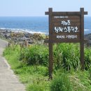 마라도