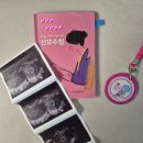 🤰🏻 임신 5주차 일기 | 쌍둥이 💕 | 3차 피검사, 아기집, 난황, 부모님 임밍아웃, 임산부 신발 | 임신...