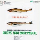 브랜드 돼지고기 시대의 개막 1990년대
