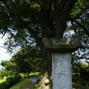 상주 조공제 이미지