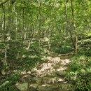 신어산 산림욕장 이미지