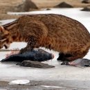 김신환동물병원 이미지