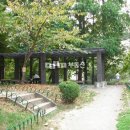 주공세탁 Daum카페