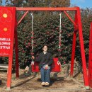 곽금초등학교 | 1.14 / 7살 아이와 단둘이 제주 _ 파더스가든, 블루글라스, 스타벅스 한담해변점