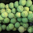 유니온파크 이미지