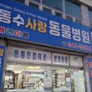 동수동물병원 이미지