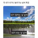 남일약국 | 카우룽 카우룽