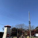 바람아래관광농원 | 바람아래 관광농원[미로공원] 후기 [내돈내산][주차정보]